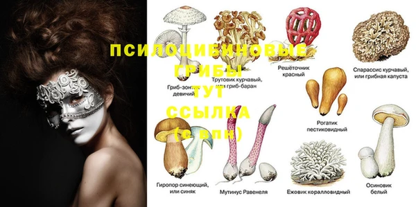 трава Верхнеуральск