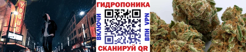 Бошки марихуана Ganja  продажа наркотиков  Новошахтинск 